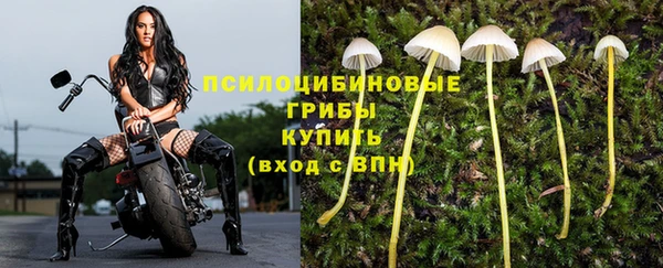 COCAINE Богородск