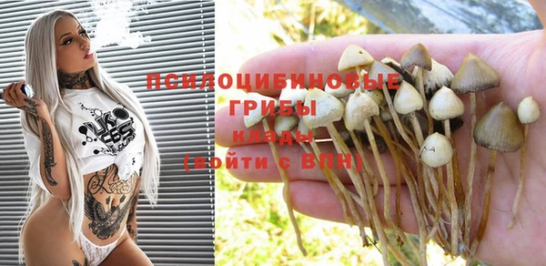 эйфоретик Богородицк